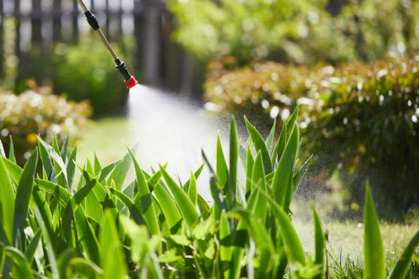 24/7 Emergency Wasp Removal experts in Forrest, IL