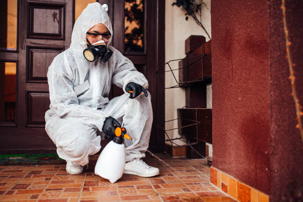 Reliable Wasp Removal contractor in Forrest, IL by Show Me Pest Control